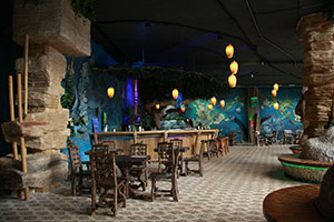 Бар «Осьминог»