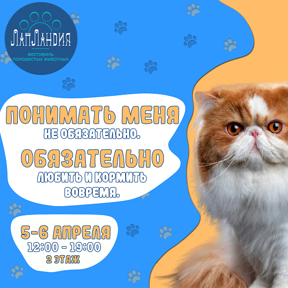 Фестиваль ЛапЛандия в Питерлэнде