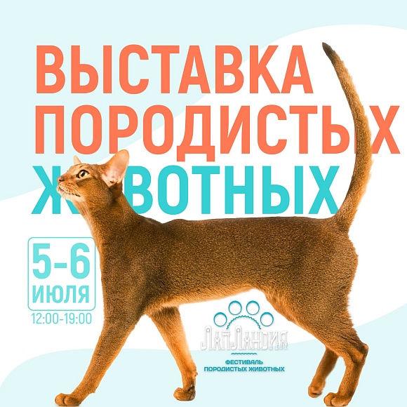 Фестиваль "ЛапЛандия" в МТРК "Питерлэнд"