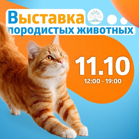 Проведите свои выходные в компании очаровательных животных на фестивале ЛапЛандия в ТРК «Питерлэнд»!